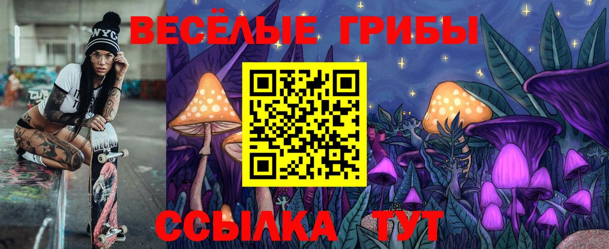 Псилоцибиновые грибы мухоморы Бор