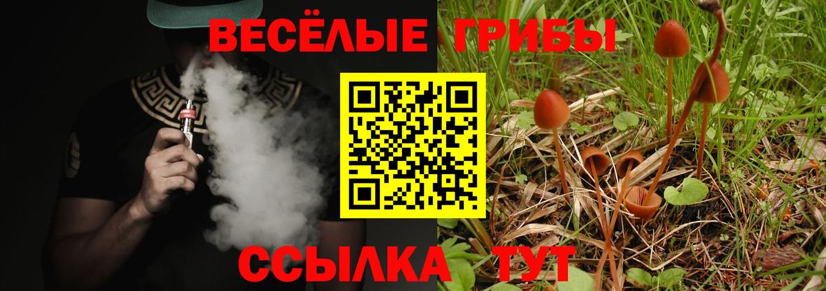 Бор  Галлюциногенные грибы мухоморы  Псилоцибиновые грибы ЛСД  Вход с VPN 